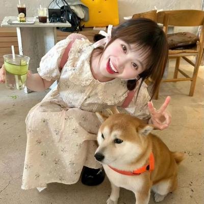 杨光的快乐生活3
